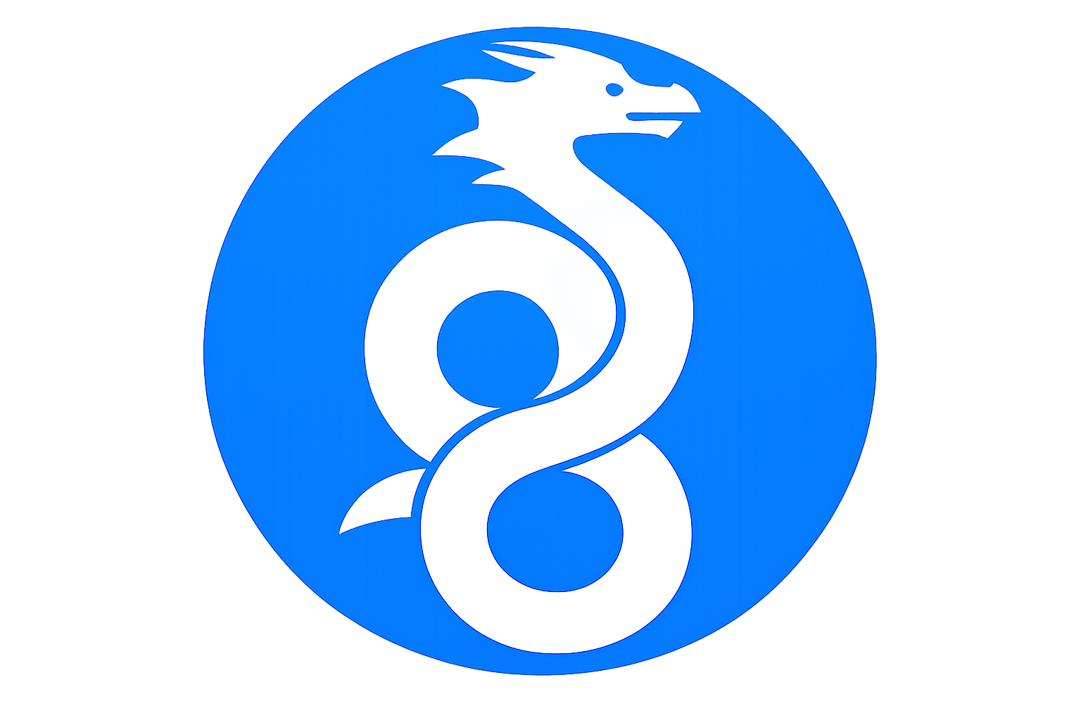 WireGuard logo